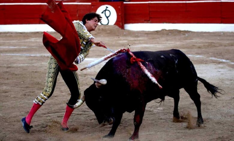 Nayarit carece de facultades para declarar peleas de gallos y corridas de toros como patrimonio cultural, concluye la Corte 1 Nayarit carece de facultades para declarar peleas de gallos y corridas de toros como patrimonio cultural, concluye la Corte