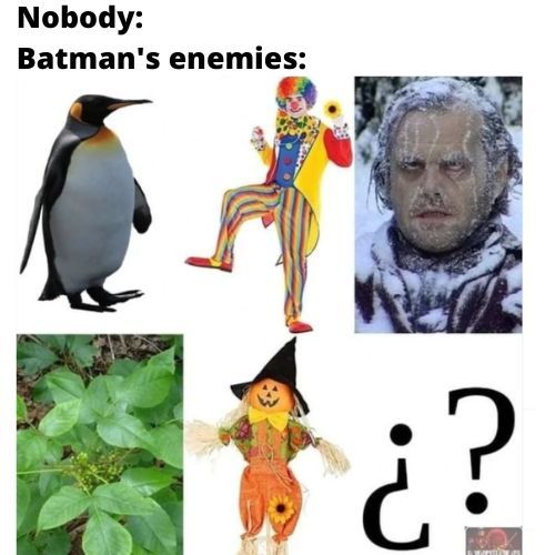 10 memes que resumen a la perfección a Batman como personaje 2 10 memes que resumen a la perfeccion a Batman como.5
