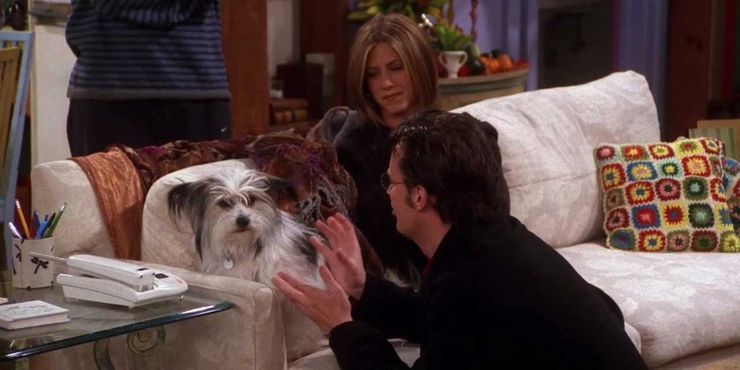 Amigos: los 10 miedos más grandes de Chandler Bing, clasificados 4 1657144942 605 Amigos los 10 miedos mas grandes de Chandler Bing clasificados.5