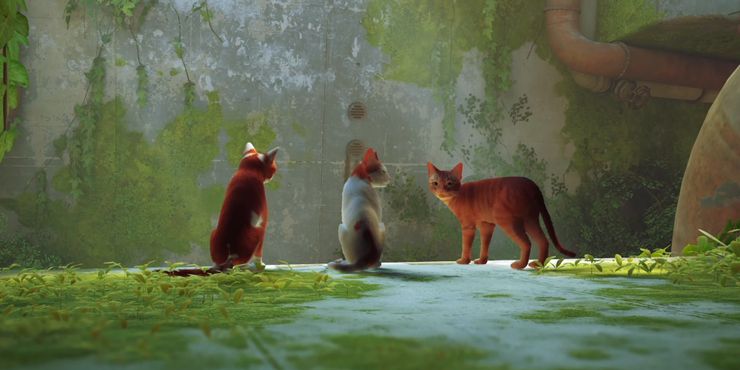 Todo lo lindo que puedes hacer con un gato en Stray 2 Todo lo lindo que puedes hacer con un gato en.5
