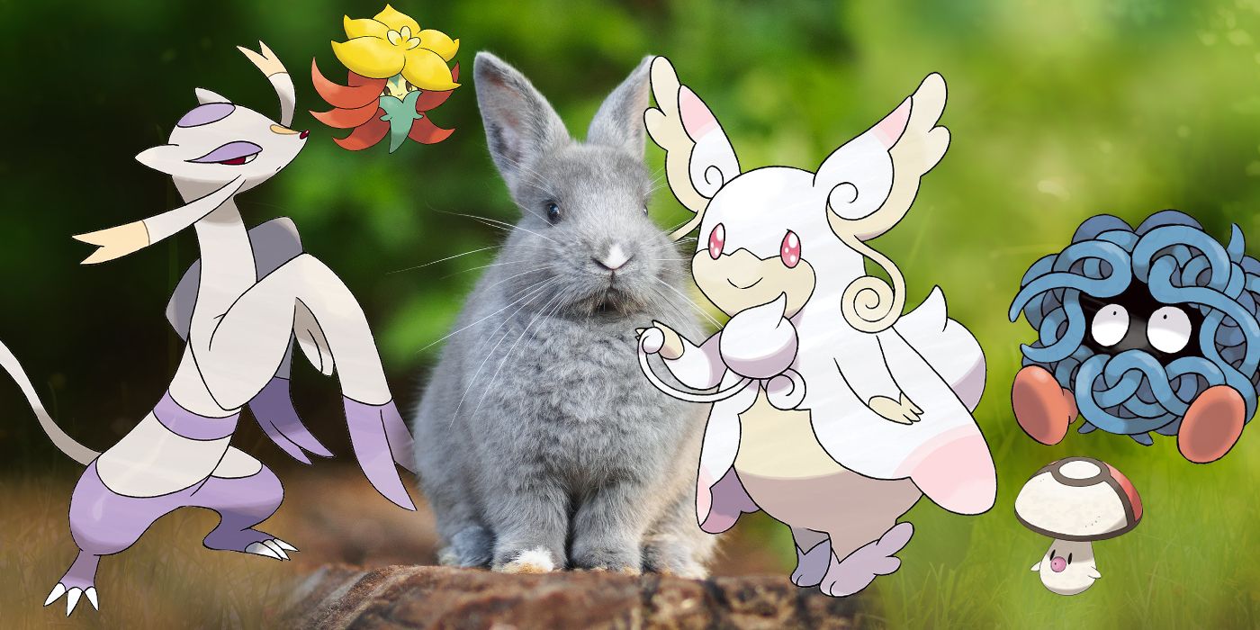 Las habilidades de Pokémon que desearíamos que nuestras mascotas supieran en la vida real 3 1660066884 967 Las habilidades de Pokemon que deseariamos que nuestras mascotas supieran.5