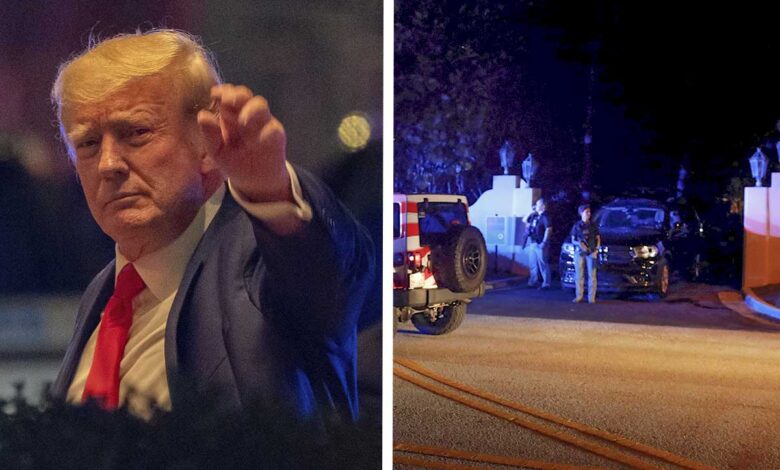 El FBI se llevó 12 cajas de la mansión de Trump en Florida, confirma abogada del expresidente 1 El FBI se llevó 12 cajas de la mansión de Trump en Florida, confirma abogada del expresidente