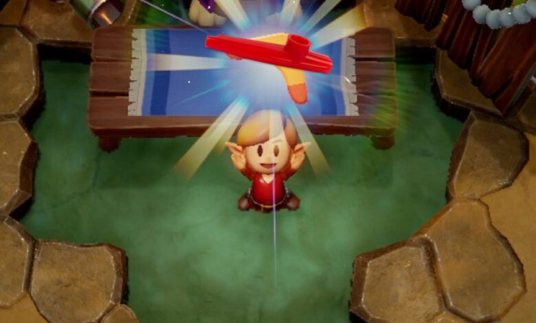 El peor enlace de instrumentos musicales podría obtener en un juego de Zelda 1 El peor enlace de instrumentos musicales podría obtener en un juego de Zelda