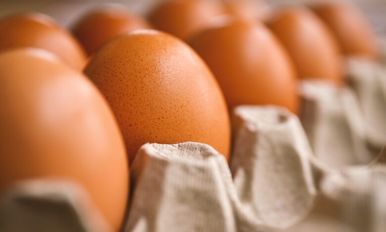 Huevos camperos y huevos ecológicos: ¿En qué se diferencian? 1 Huevos camperos y huevos ecologicos ¿En que se diferencian