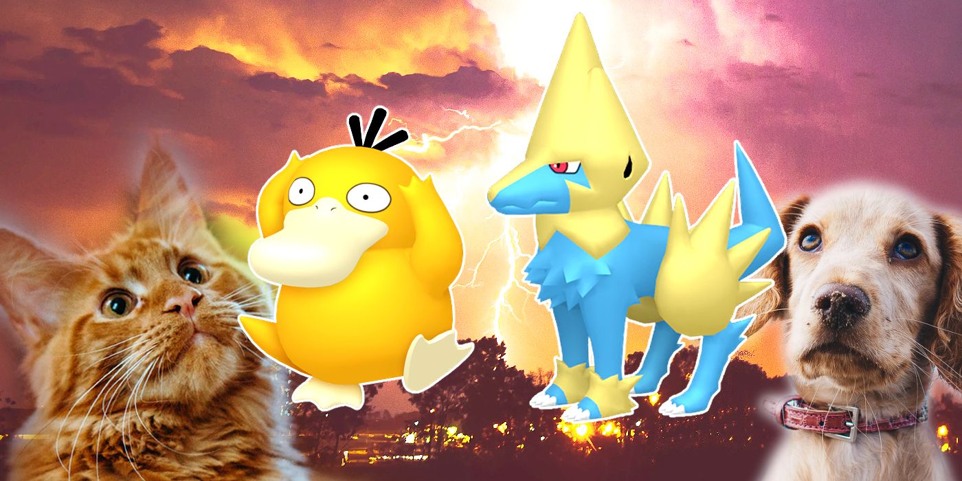 Las habilidades de Pokémon que desearíamos que nuestras mascotas supieran en la vida real 2 Las habilidades de Pokemon que deseariamos que nuestras mascotas supieran.5