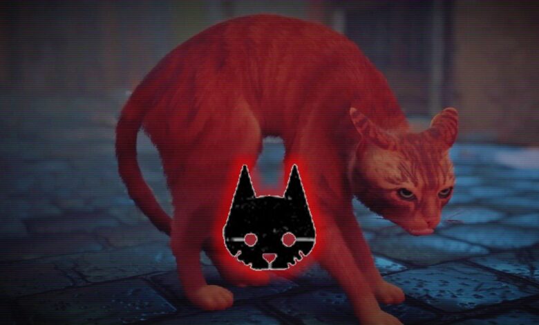 Los momentos de miedo más inesperados de Stray 1 Stray Cat Game Story Horror Scary Cyberpunk Adventure