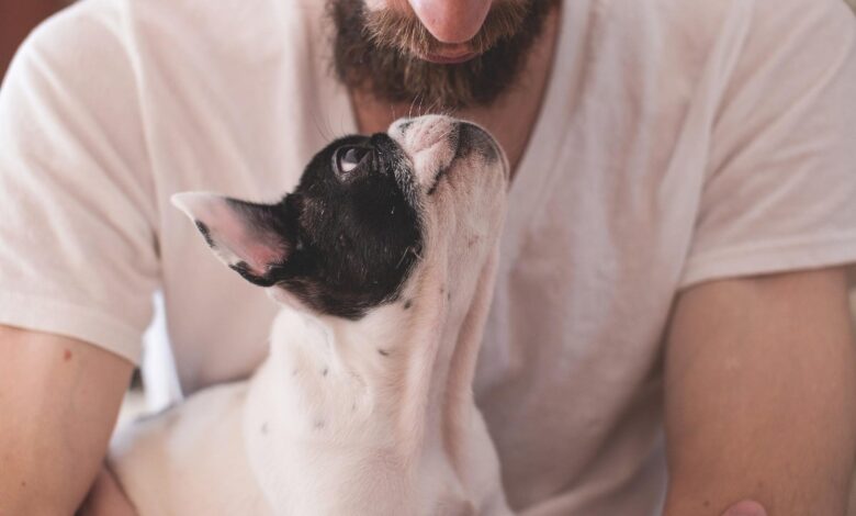 OMS pide a contagiados de viruela del mono ser cuidadosos con sus mascotas 1 OMS pide a contagiados de viruela del mono ser cuidadosos con sus mascotas