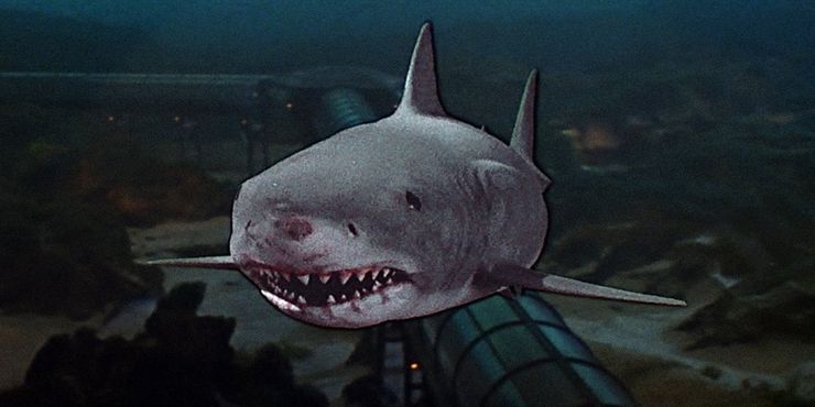 Teoría de Jaws 3: El tiburón es un megalodón 2 Teoria de Jaws 3 El tiburon es un megalodon.5