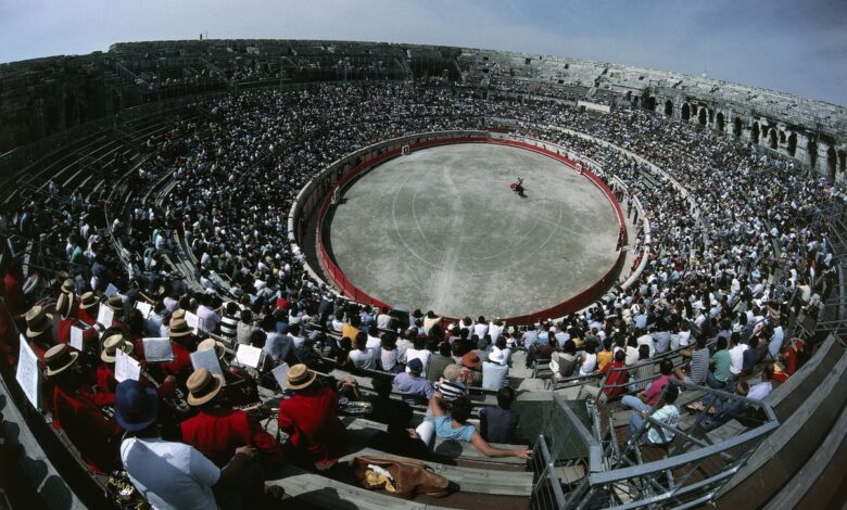 ¿El fin de los toros en Francia? La pelea llega a la Asamblea Nacional 1 ¿El fin de los toros en Francia? La pelea llega a la Asamblea Nacional