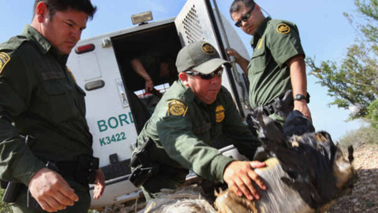 ¿Por qué Texas, Florida y Arizona están enviando migrantes a NY y Washington? 1 ¿Por qué Texas, Florida y Arizona están enviando migrantes a NY y Washington?