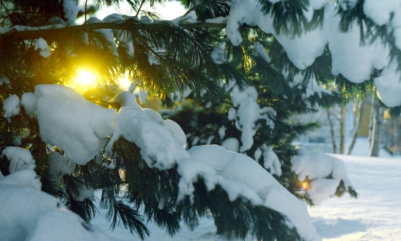 ¿Cuándo es el primer día de invierno y el solsticio de invierno? 1 ¿Cuándo es el primer día de invierno y el solsticio de invierno?