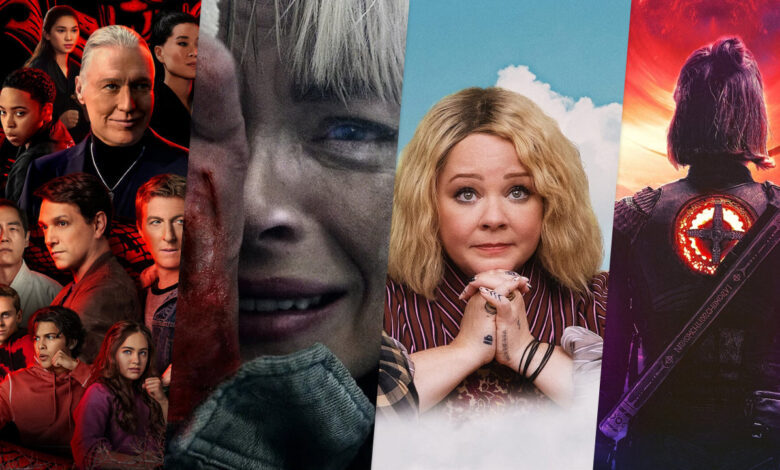 Series de Netflix en espera de renovación o cancelación 1 Series de Netflix en espera de renovación o cancelación