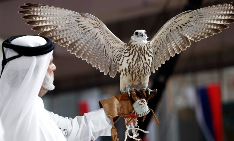 Qatar 2022 | Halcón milenario: mascota y lujosa tradición | Video 1 Qatar 2022 | Halcón milenario: mascota y lujosa tradición | Video