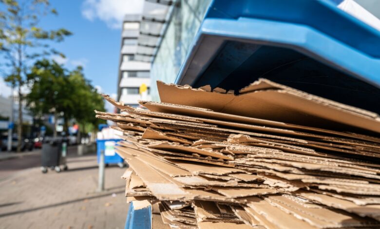 Transformar viejas cajas de cartón en redes aislantes CleanFiber ronda de $10 millones 1 Transformar viejas cajas de cartón en redes aislantes CleanFiber ronda de $10 millones