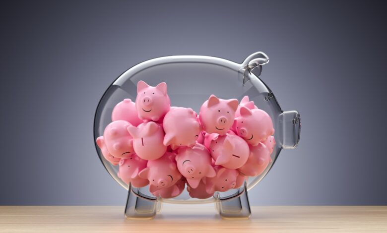 Una carta de amor a los microfondos, columna vertebral y futuro del capital riesgo 1 Una carta de amor a los microfondos, columna vertebral y futuro del capital riesgo