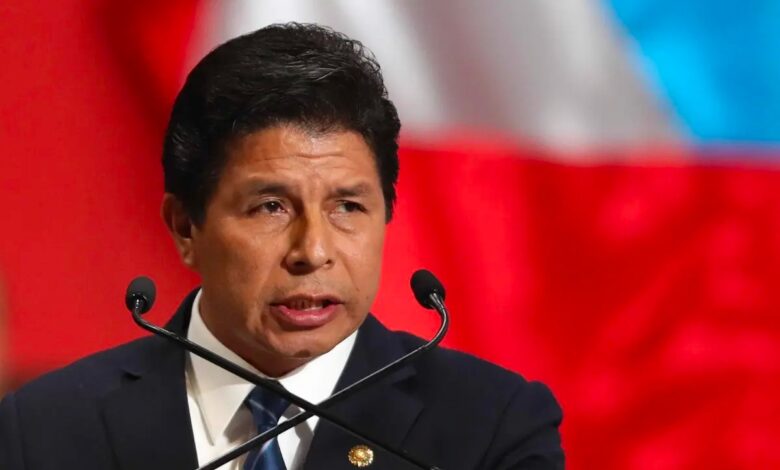 Castillo agradece a AMLO su 'solidaridad' con Perú 1 Castillo pide reunión 'urgente' con delegación de la CIDH