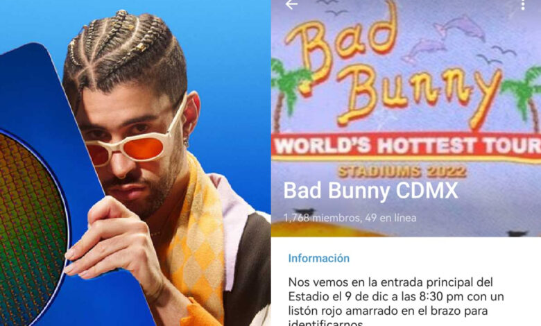 Fans de Bad Bunny sin boleto organizan fiesta afuera del Estadio Azteca | Video 1 Fans de Bad Bunny sin boleto organizan fiesta afuera del Estadio Azteca | Video