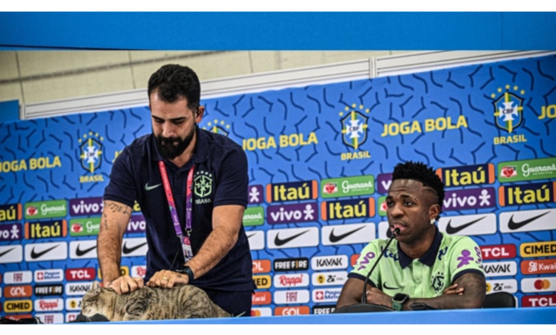 Qatar 2022: Roba gato cámara a Vinícius Júnior y lo sacan de ruda manera | Video 1 Qatar 2022: Roba gato cámara a Vinícius Júnior y lo sacan de ruda manera | Video