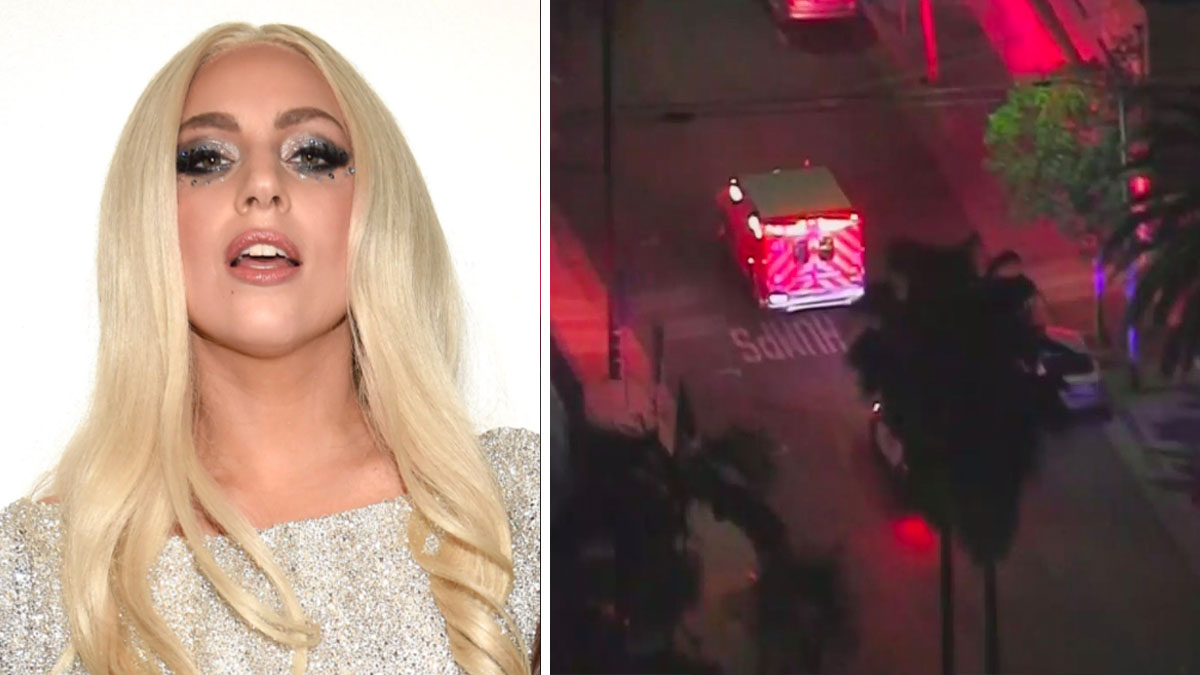 Sentencian a 21 años en prisión al hombre que disparó al paseador de perros de Lady Gaga 1 Sentencian a 21 anos en prision al hombre que disparo
