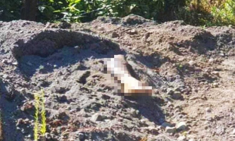 Ven pierna semienterrada y descubren fosa clandestina | Michoacán 1 Ven pierna semienterrada y descubren fosa clandestina | Michoacán